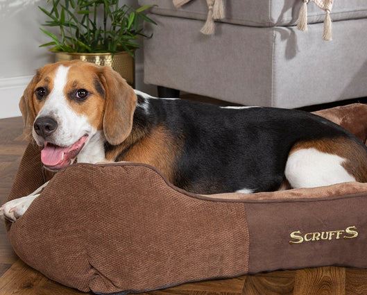 Chester Box Bed Chocolate - Extra Large