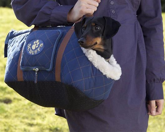 Wilton Carrier Blue