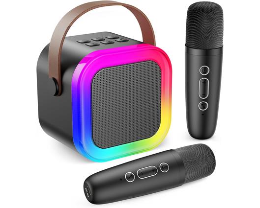 Mini Karaoke Machine with 2 Wireless Microphones and Portable Bluetooth Speaker