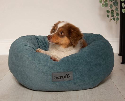 Oslo Ring Bed De Lake Teal - Large