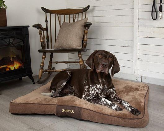 Chester Mattress Chocolate - Large