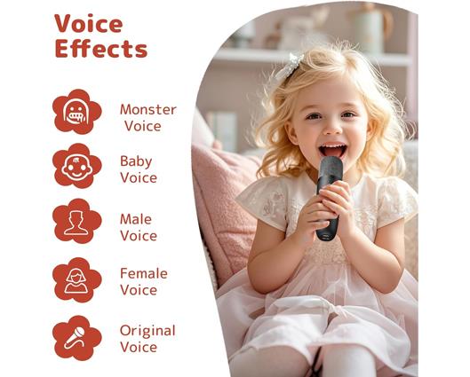 Mini Karaoke Machine with 2 Wireless Microphones and Portable Bluetooth Speaker