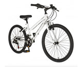 Falcon Aurora 24"