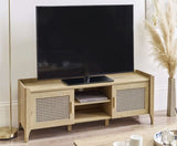 Saige Media Unit