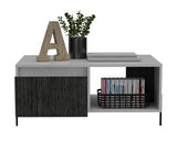 Dexter Coffee Table with 2 Doors