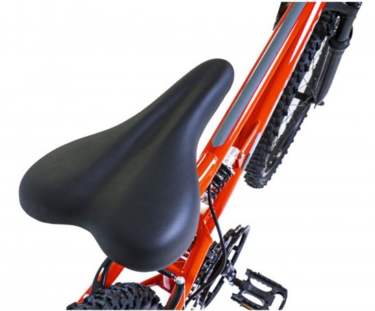 Falcon Neutron 24"