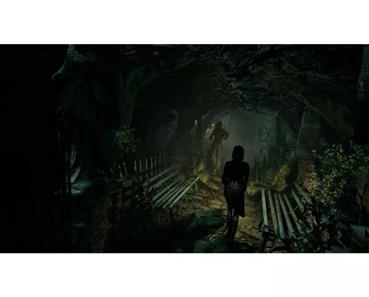 Tormented Souls II Nintendo Switch 2 Game