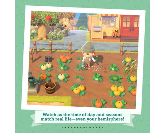 Nintendo Switch Animal Crossing: New Horizons