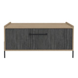 Houston Storage Coffee Table