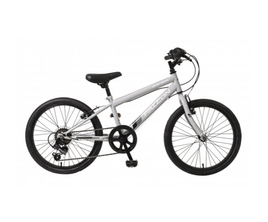 Falcon Jetstream 20"