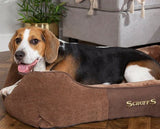 Chester Box Bed Chocolate - Large