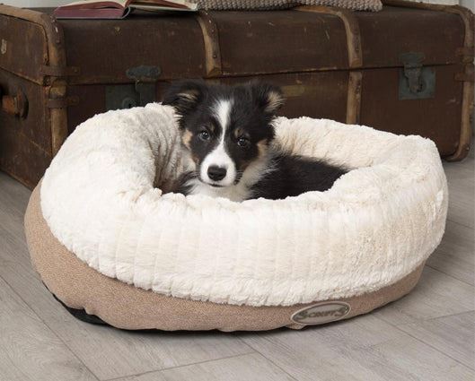 Ellen Donut Bed Tan - Medium