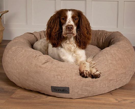 Oslo Ring Bed Desert Sand - XX Large