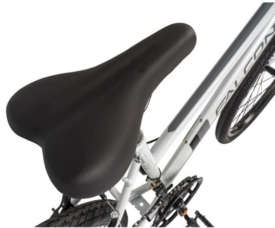 Falcon Aurora 24"