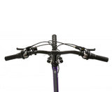 Falcon Siren 24"