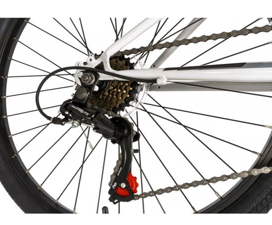 Falcon Cyclone 24"