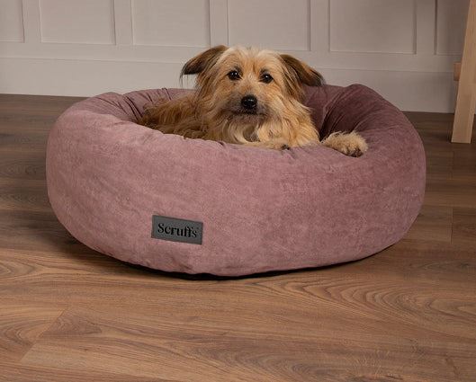 Oslo Ring Bed Blush Pink - Large