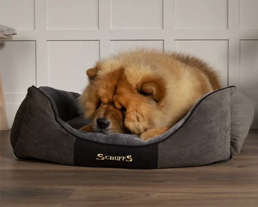 Chester Box Dog Bed Graphite Grey - Small