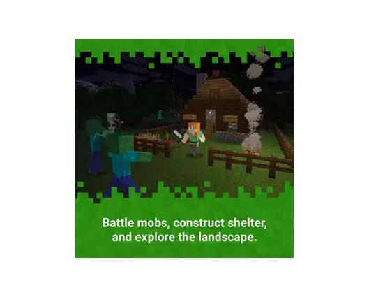 Minecraft Switch Game