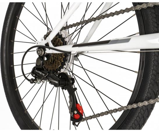 Falcon Aurora 24"