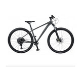 CB Alpina 2.0 Large (19")