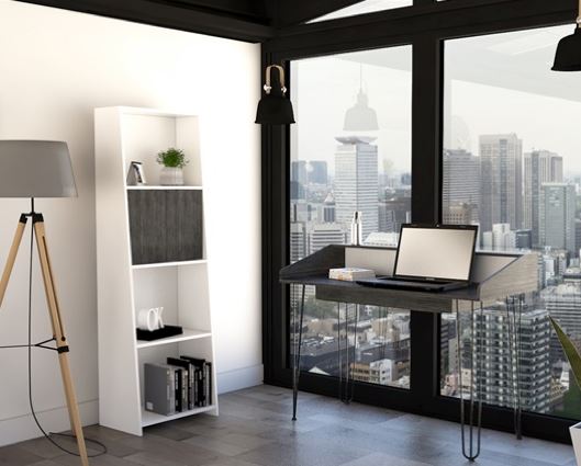 Dexter Bookcase with Doors